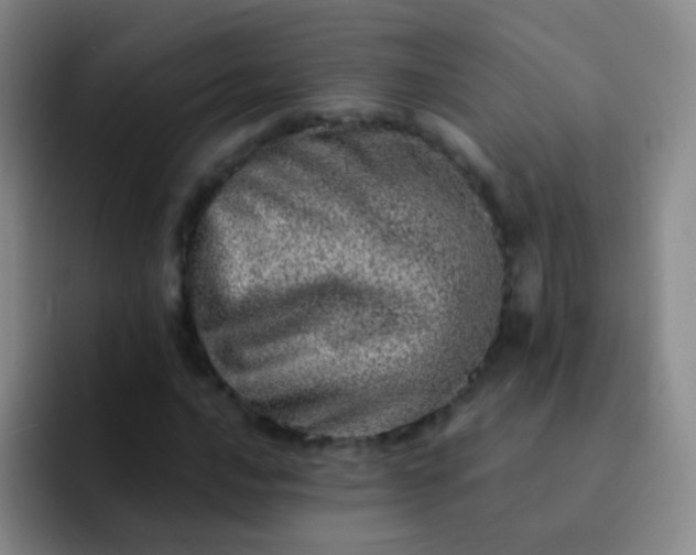 X0000092041016200709261946