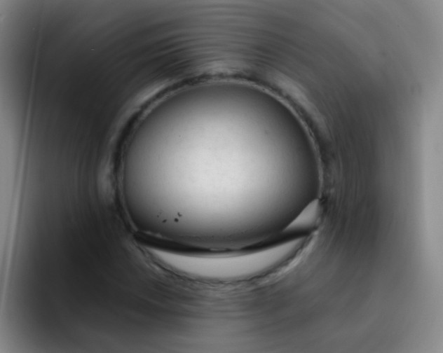 X0000092041018200709261946