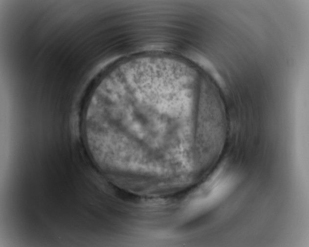 X0000092041019200709261946