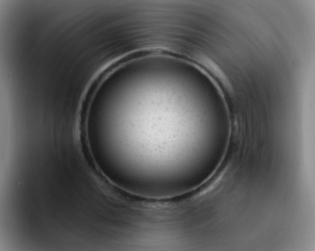 X0000092041020200709261946