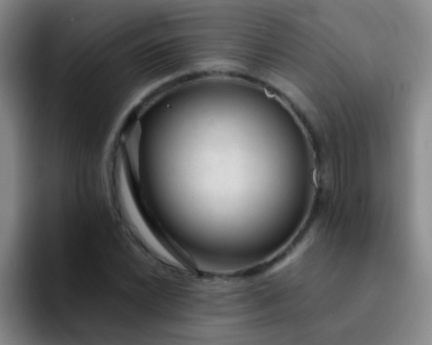 X0000092041022200709261946