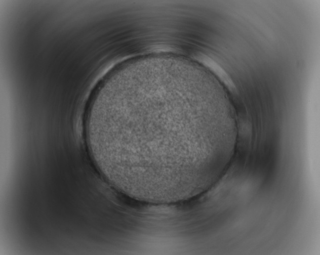 X0000092041023200709261946