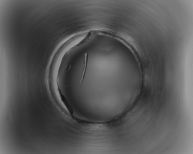 X0000092041024200709261946