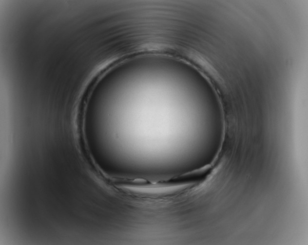 X0000092041026200709261946