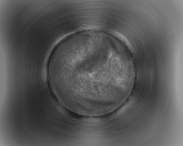 X0000092041027200709261946