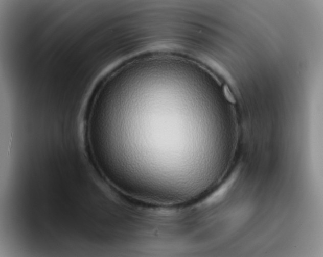 X0000092041029200709261947