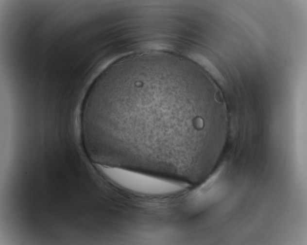 X0000092041031200709261947