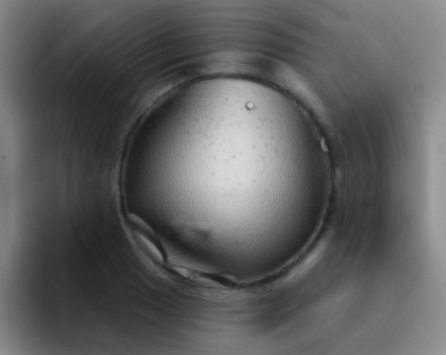 X0000092041033200709261947