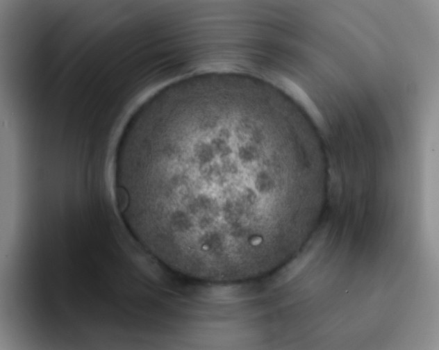 X0000092041035200709261947