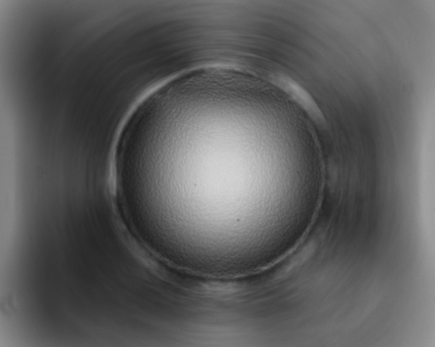 X0000092041036200709261947