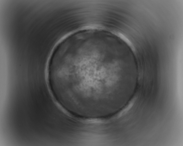 X0000092041037200709261947