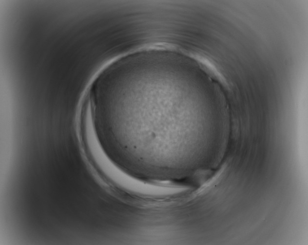 X0000092041038200709261947