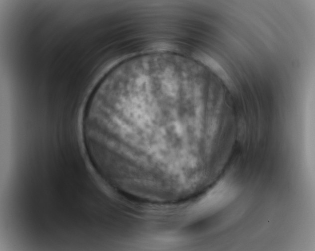 X0000092041039200709261947