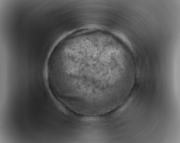 X0000092041040200709261947