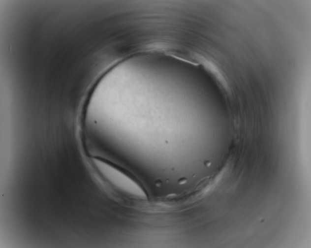 X0000092041042200709261947