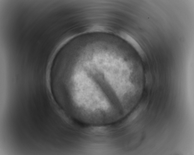 X0000092041043200709261947