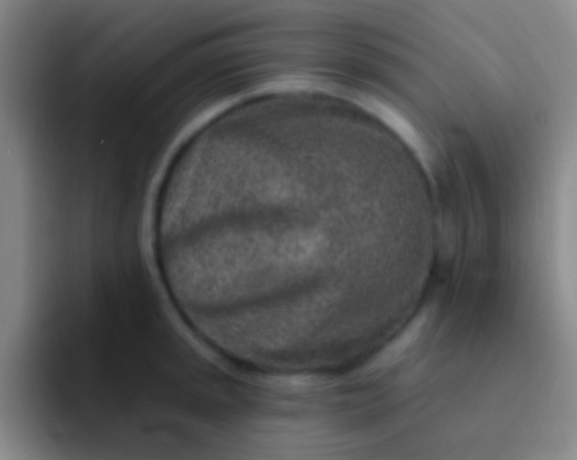 X0000092041045200709261947