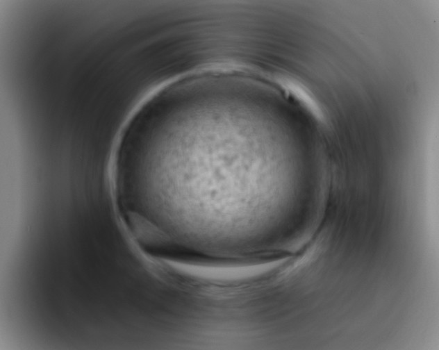 X0000092041046200709261947