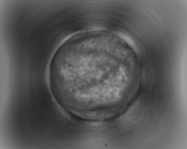 X0000092041047200709261947