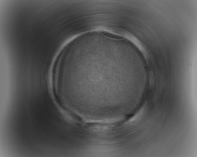 X0000092041048200709261947