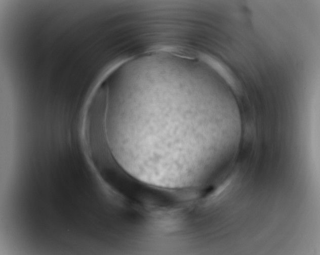 X0000092041050200709261947