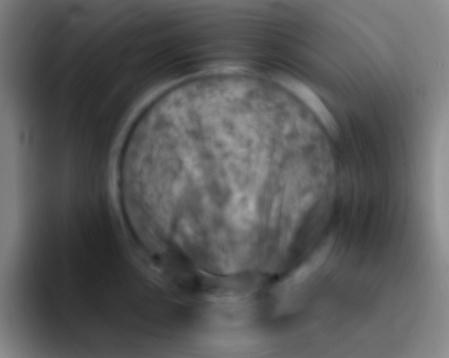 X0000092041051200709261947