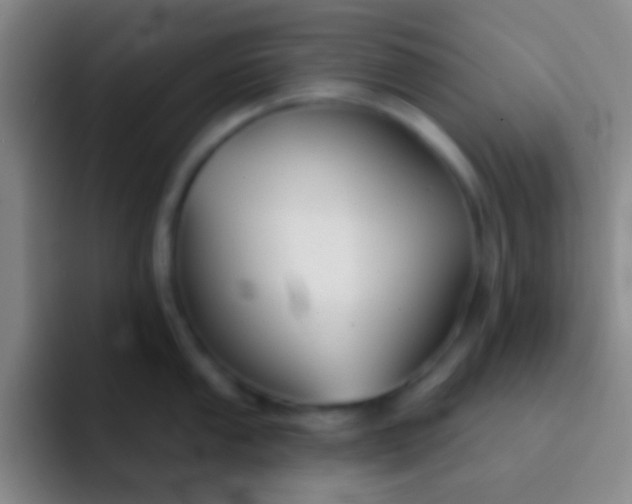 X0000092041053200709261947