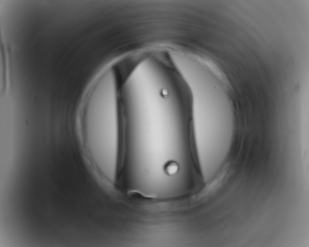 X0000092041054200709261947