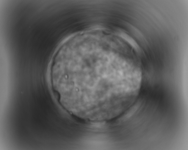 X0000092041055200709261947