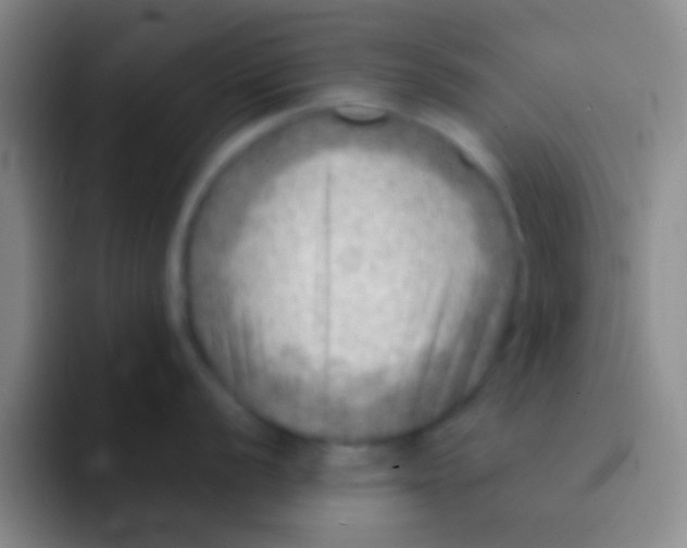 X0000092041056200709261947