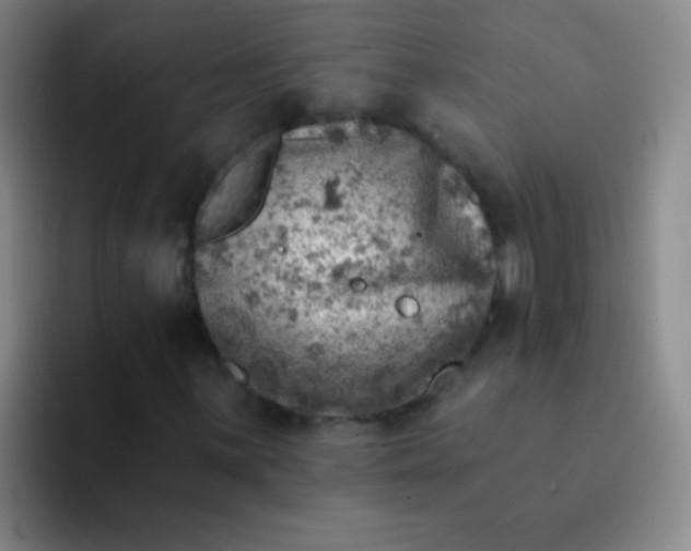 X0000092041059200709261946