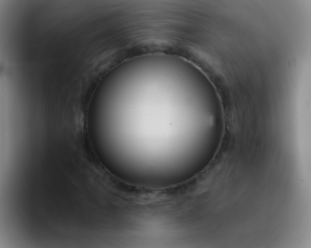 X0000092041061200709261946