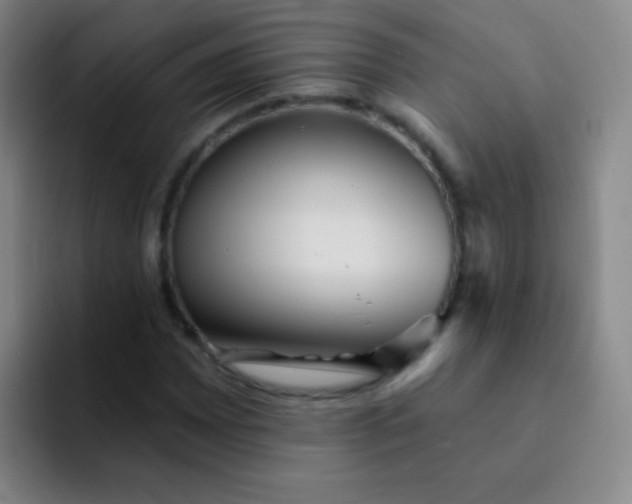 X0000092041065200709261946