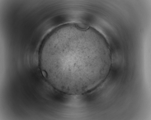 X0000092041067200709261946