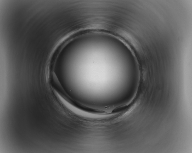 X0000092041069200709261946