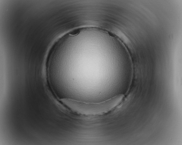 X0000092041072200709261946