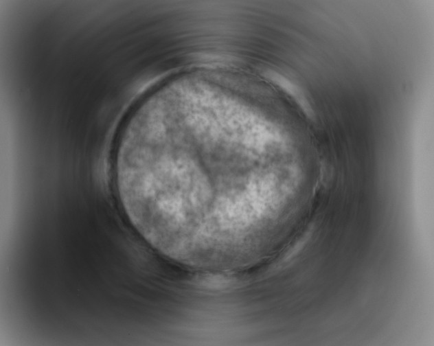 X0000092041074200709261946