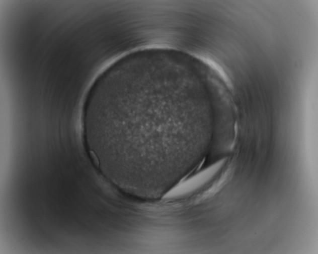 X0000092041077200709261946