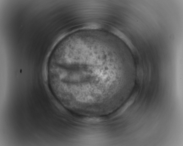 X0000092041083200709261946