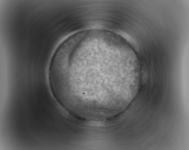 X0000092041086200709261946