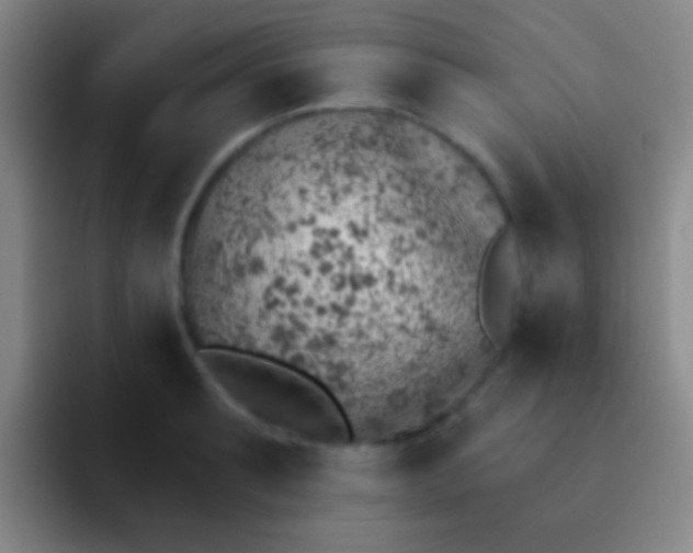 X0000092041087200709261946