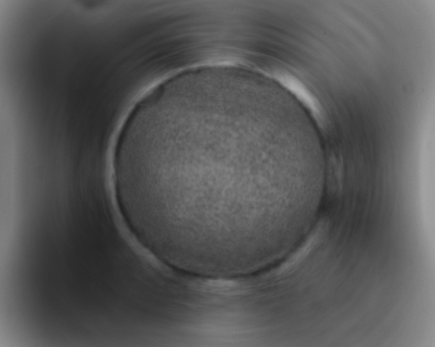 X0000092041088200709261946