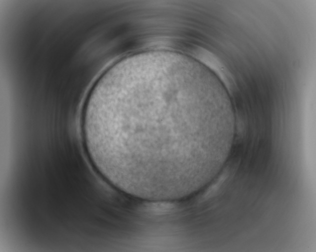 X0000092041090200709261946