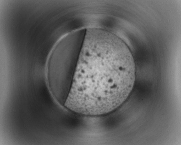 X0000092041095200709261946