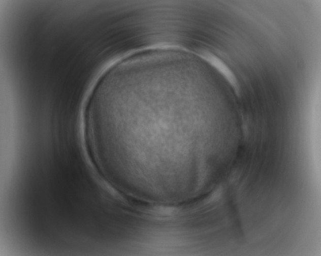 X0000092041096200709261946