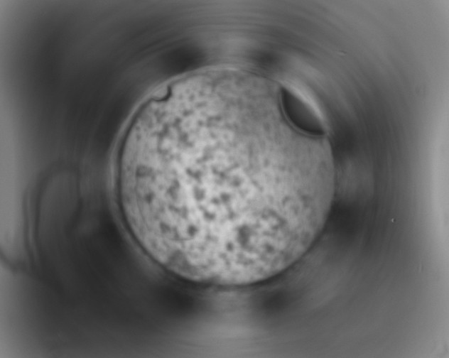 X0000092041099200709261946