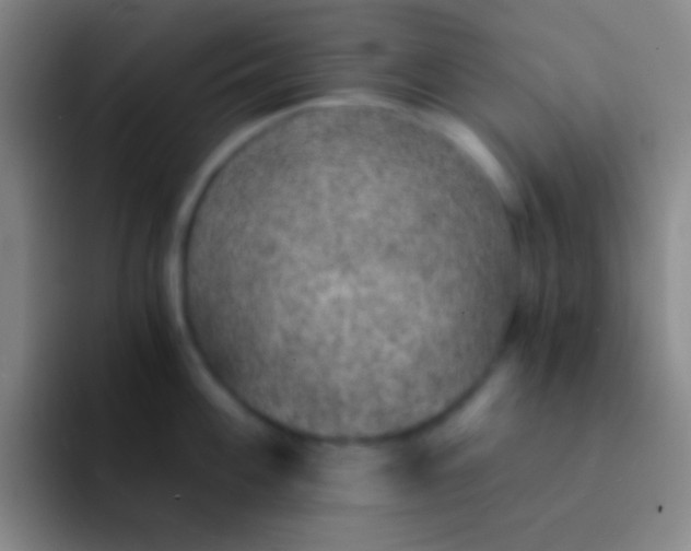 X0000092041100200709261946