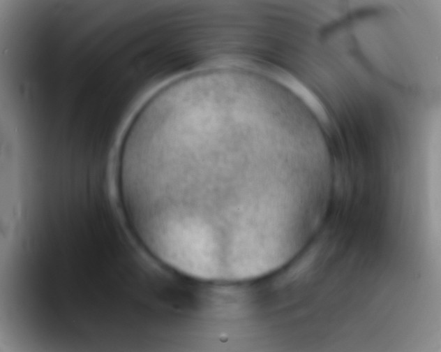 X0000092041102200709261946