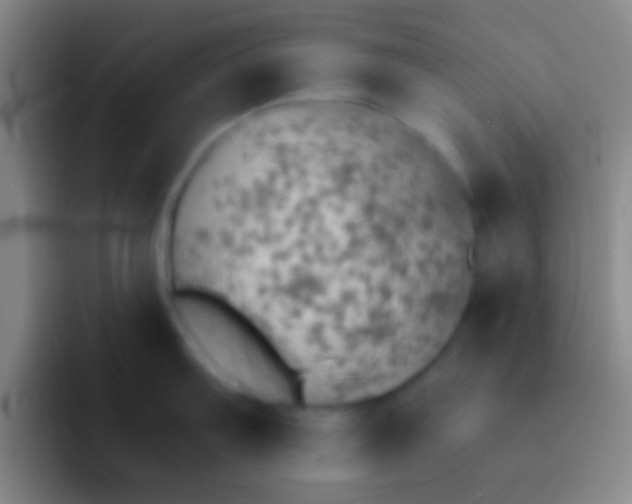 X0000092041103200709261946