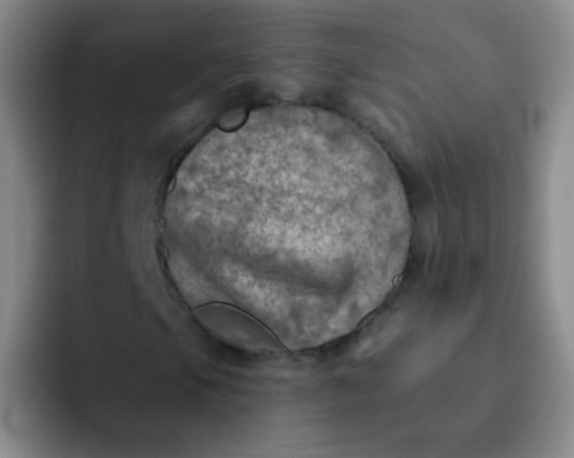 X0000092041105200709261945